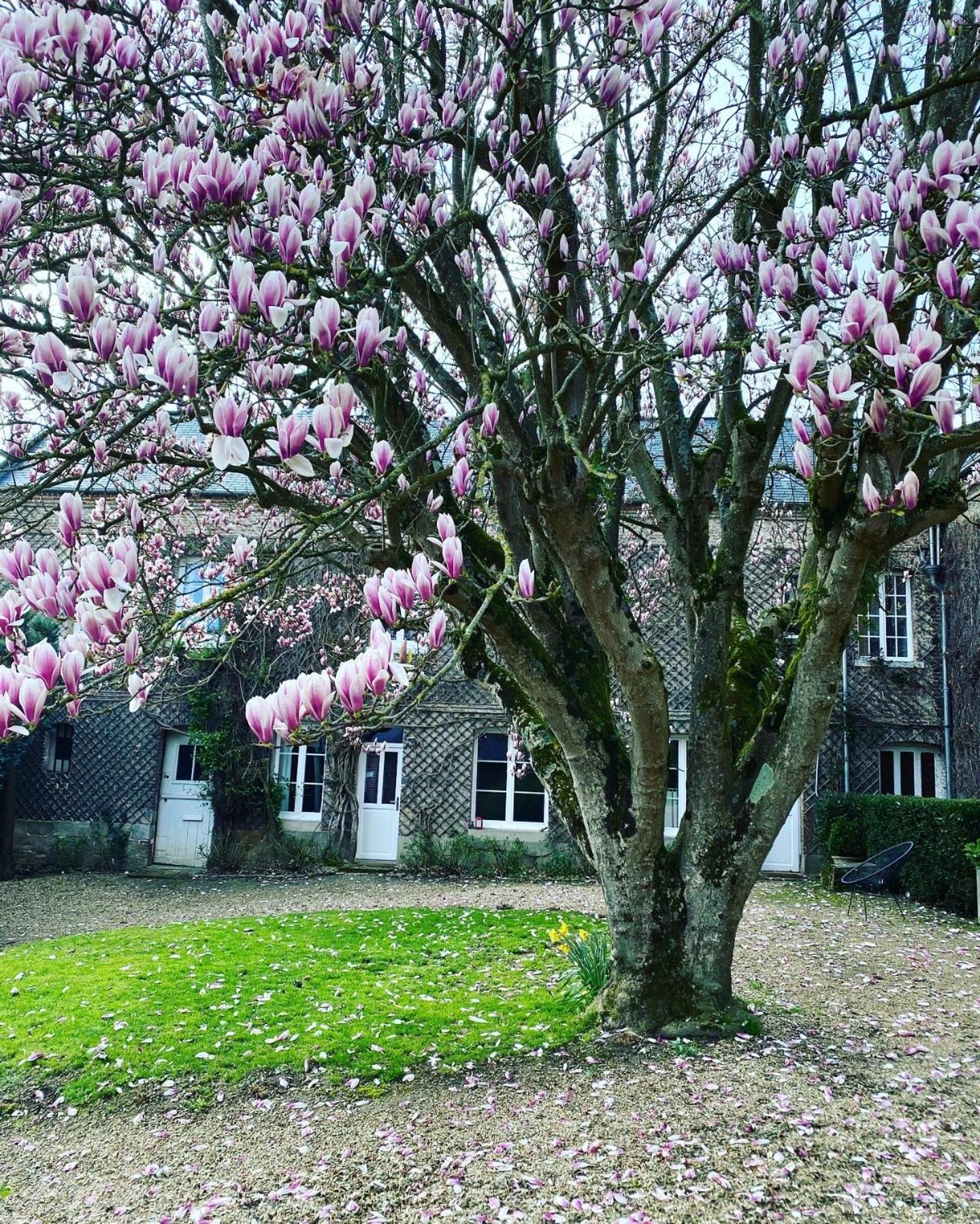 La Benjamine Bed & Breakfast Cany-Barville Luaran gambar